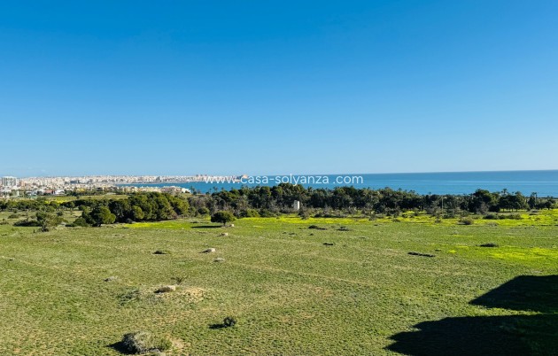Reventa - Apartamento / piso - Torrevieja - Punta Prima