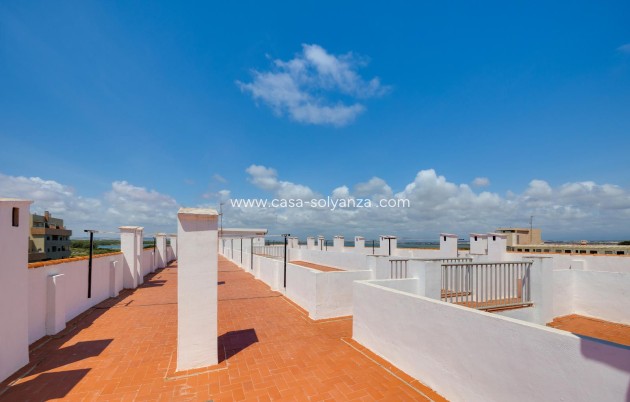 Reventa - Apartamento / piso - Torrevieja - La Mata