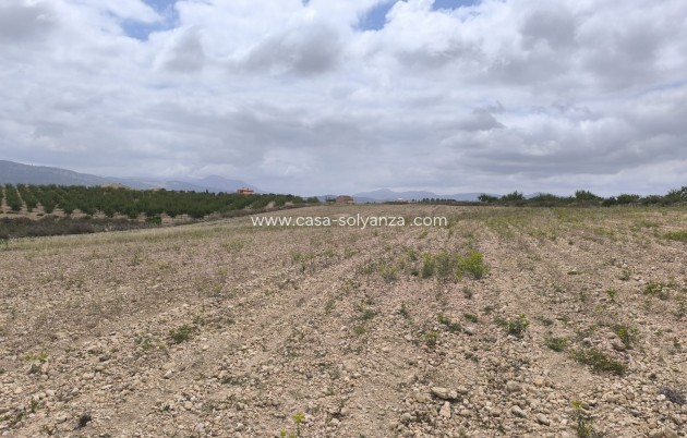 Reventa - Land - Pinoso - Inland