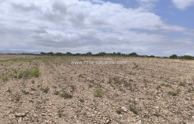 Reventa - Land - Pinoso - Inland