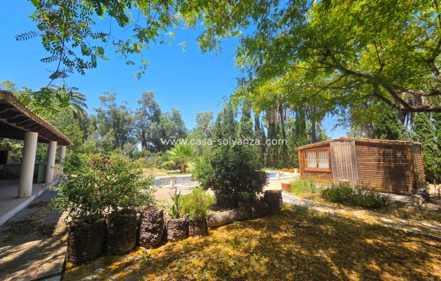 Reventa - Villa - Elche - Costa Blanca