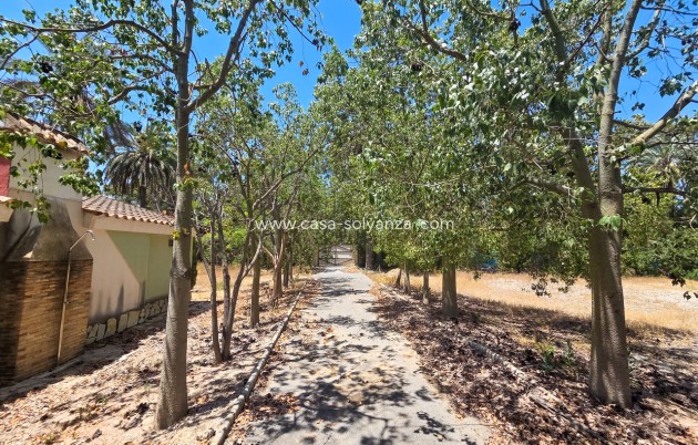 Reventa - Villa - Elche - Costa Blanca
