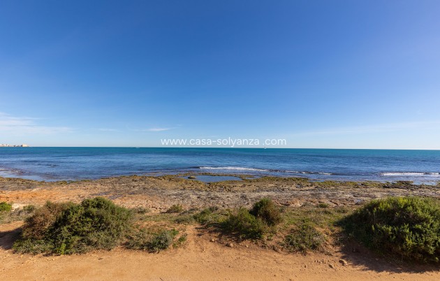 Wiederverkauf - Wohnung - Torrevieja - Costa Blanca