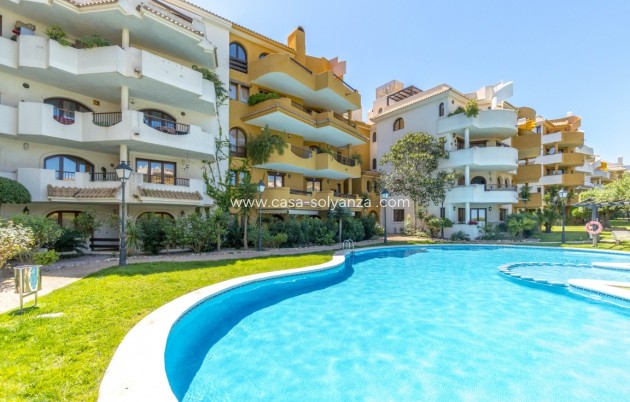 Herverkoop - Appartement / flat - Punta Prima