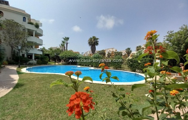 Herverkoop - Appartement / flat - Punta Prima