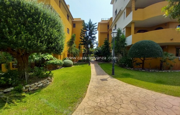 Herverkoop - Appartement / flat - Punta Prima