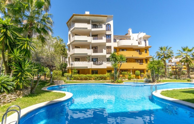 Herverkoop - Appartement / flat - Punta Prima