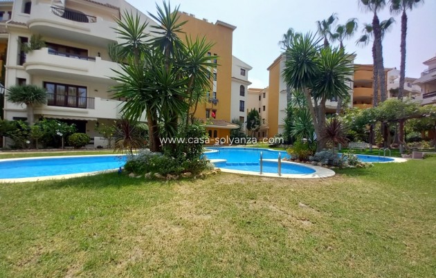 Herverkoop - Appartement / flat - Punta Prima