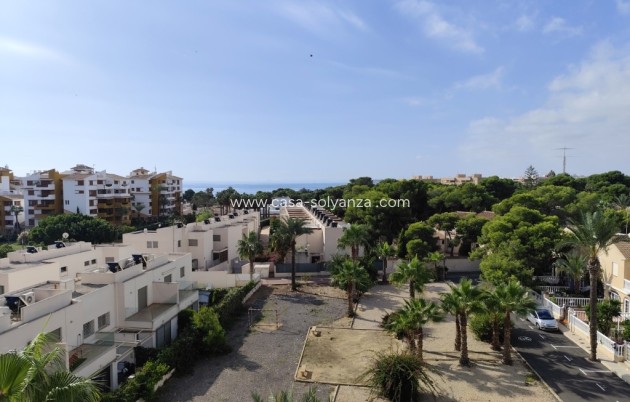 Herverkoop - Appartement / flat - Punta Prima