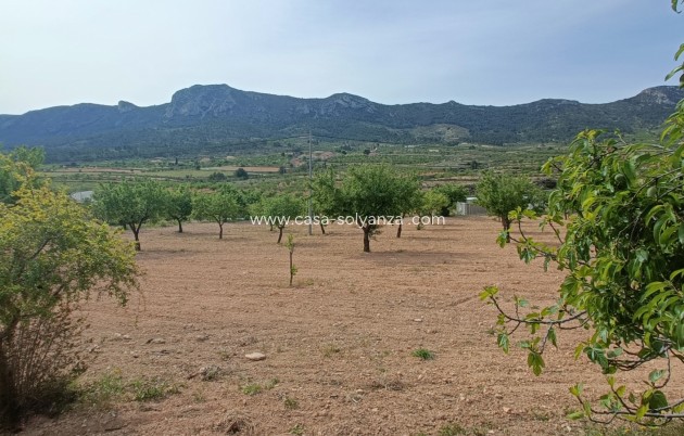 Herverkoop - Villa - La Romana - Inland