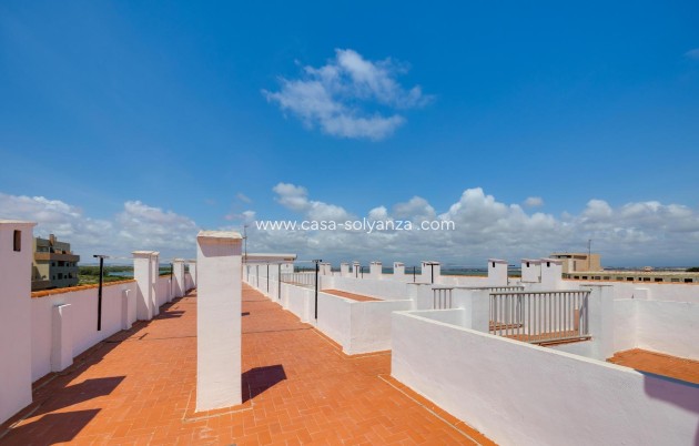 Reventa - Apartamento / piso - Torrevieja - La Mata