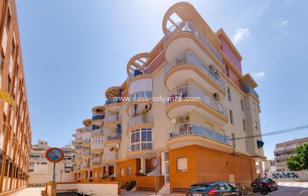 Reventa - Apartamento / piso - Torrevieja - La Mata