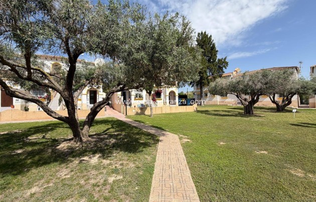 Revente - Appartement - San Miguel de Salinas - Blue Lagoon