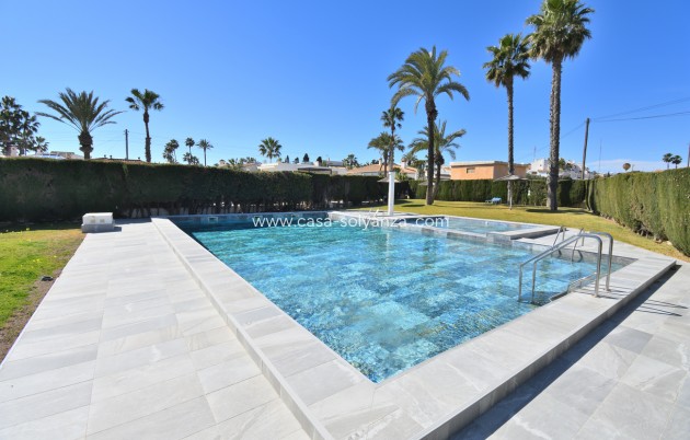 Herverkoop - Appartement / flat - Orihuela Costa - Playa Flamenca