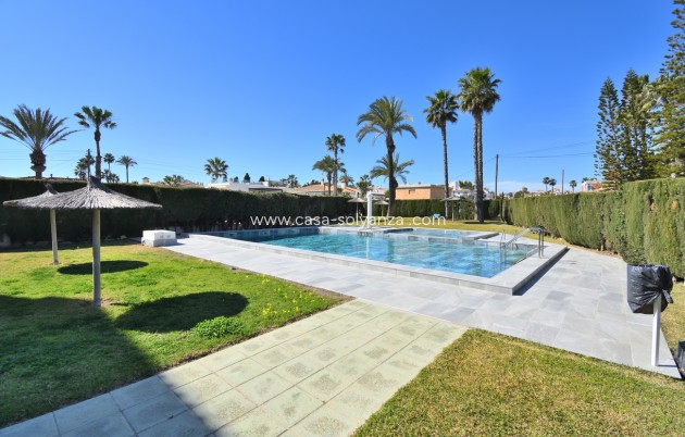 Herverkoop - Appartement / flat - Orihuela Costa - Playa Flamenca
