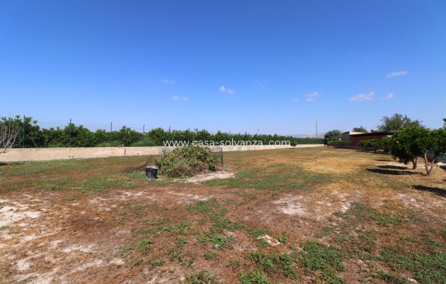 Herverkoop - Country Property/Finca - Benferri - Benferri - Country