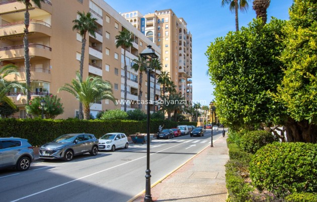 Herverkoop - Appartement / flat - Torrevieja - Los Frutales