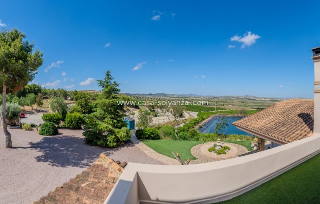 Herverkoop - Finca Country Property - San Miguel de Salinas - Torremendo