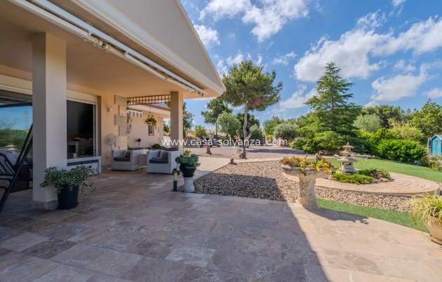 Herverkoop - Finca Country Property - San Miguel de Salinas - Torremendo