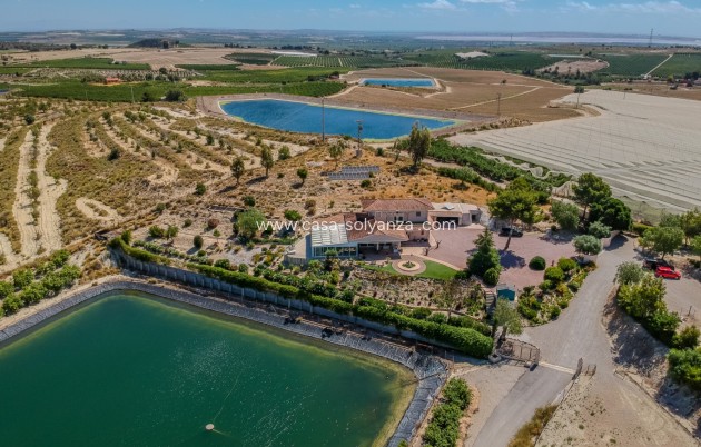 Herverkoop - Finca Country Property - San Miguel de Salinas - Torremendo