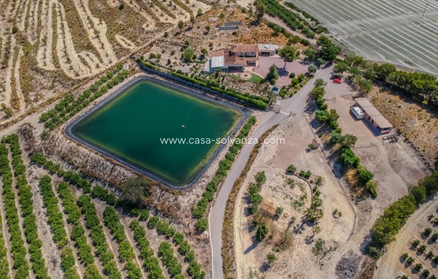 Herverkoop - Finca Country Property - San Miguel de Salinas - Torremendo