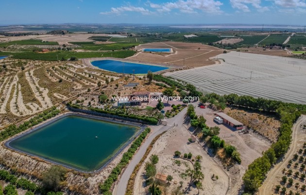 Herverkoop - Finca Country Property - San Miguel de Salinas - Torremendo