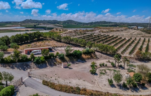 Herverkoop - Finca Country Property - San Miguel de Salinas - Torremendo