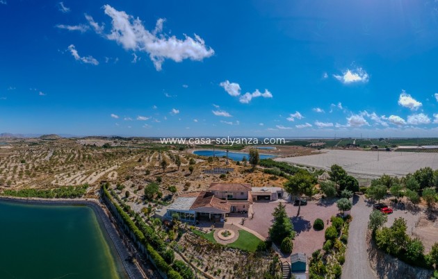 Herverkoop - Finca Country Property - San Miguel de Salinas - Torremendo