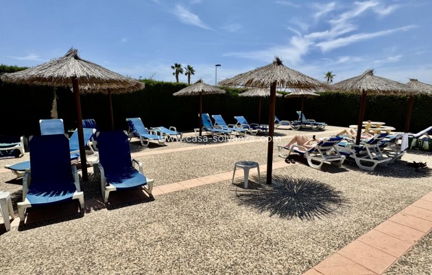 Revente - Maison de ville - Torrevieja - La Siesta