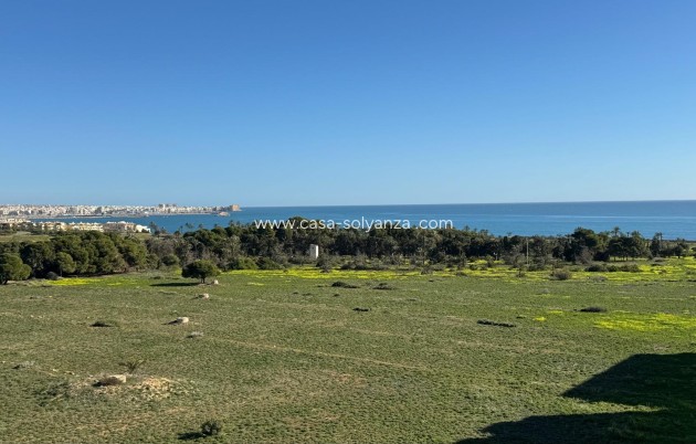 Resale - Apartment / flat - Torrevieja - Punta Prima