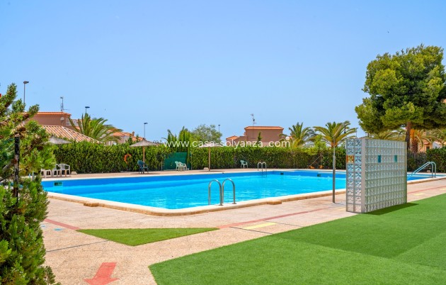Revente - Appartement - Torrevieja - Torrevieja - Aguas Nuevas