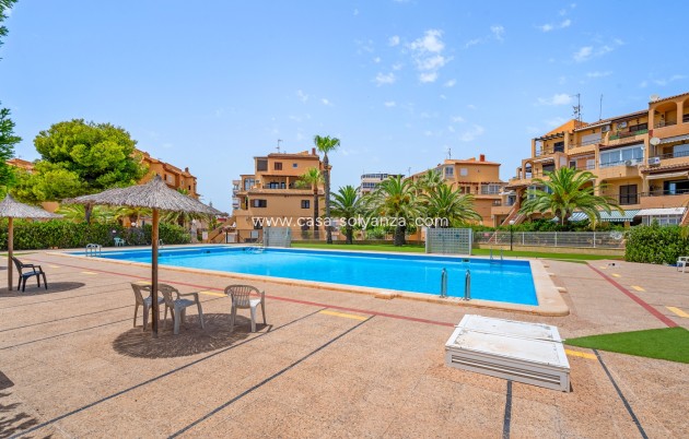 Revente - Appartement - Torrevieja - Torrevieja - Aguas Nuevas