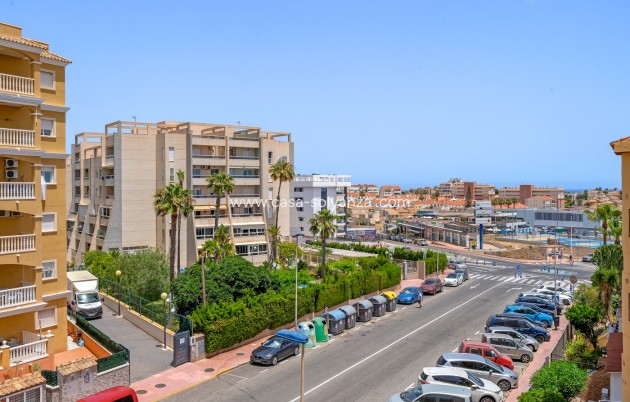 Revente - Appartement - Torrevieja - Torrevieja - Aguas Nuevas