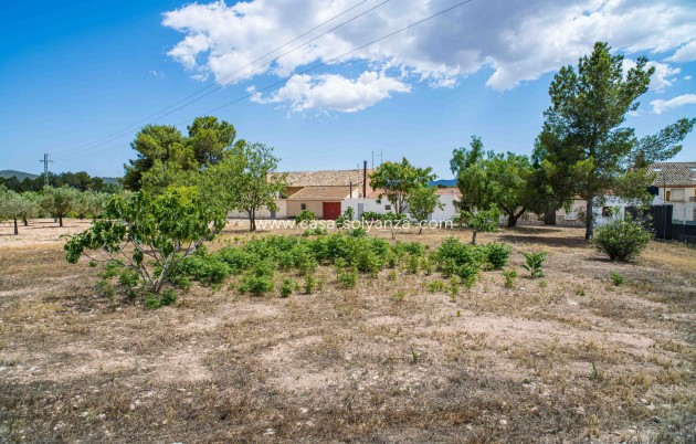 Resale - Land - Ubeda