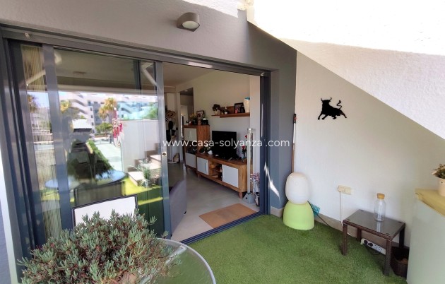 Herverkoop - Appartement / flat - Guardamar del Segura - Costa Blanca