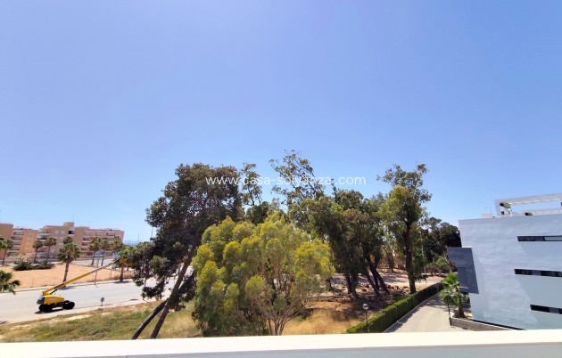 Herverkoop - Appartement / flat - Guardamar del Segura - Costa Blanca