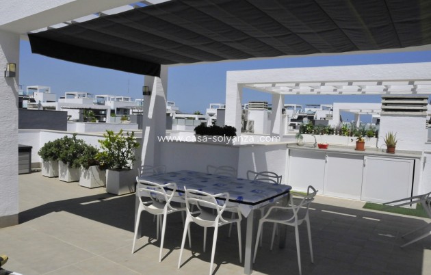 Herverkoop - Appartement / flat - Guardamar del Segura - Costa Blanca