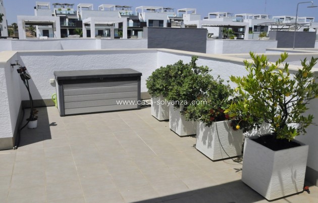 Herverkoop - Appartement / flat - Guardamar del Segura - Costa Blanca