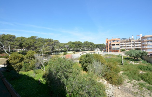 Herverkoop - Appartement / flat - Guardamar del Segura - Costa Blanca