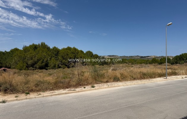 Herverkoop - Herenhuis - Torremendo - Costa Blanca