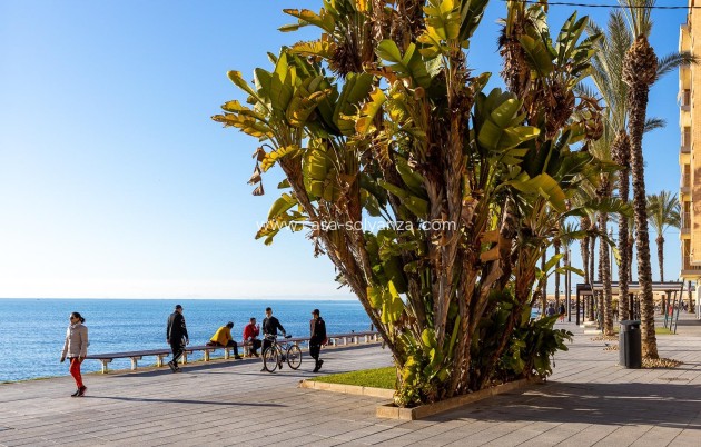 Revente - Appartement - Torrevieja - Antonio Machado