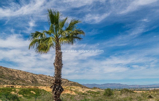 Resale - Apartment / flat - Algorfa - Inland