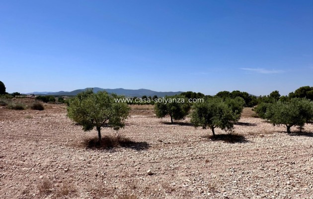 Herverkoop - Land - Monóvar - Inland