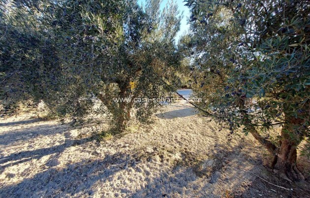 Resale - Villa - Calasparra - Inland
