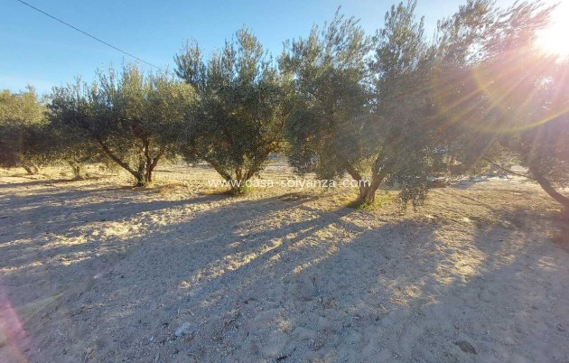 Resale - Villa - Calasparra - Inland