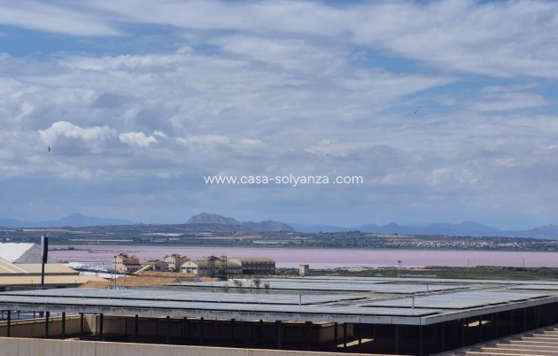 Herverkoop - Appartement / flat - Torrevieja - Acequion