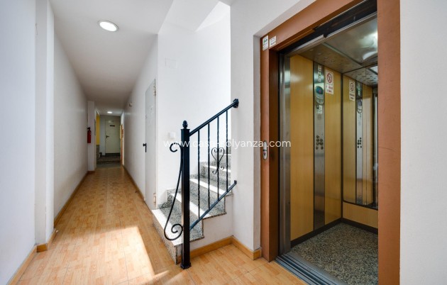 Reventa - Apartamento / piso - Torrevieja - Center