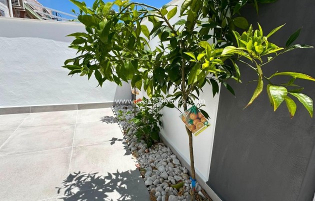 Herverkoop - Bungalow - Torrevieja - La Siesta