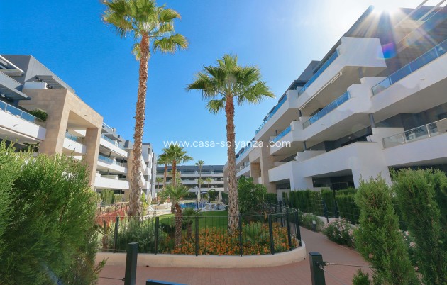 Herverkoop - Appartement / flat - Playa Flamenca - Costa Blanca