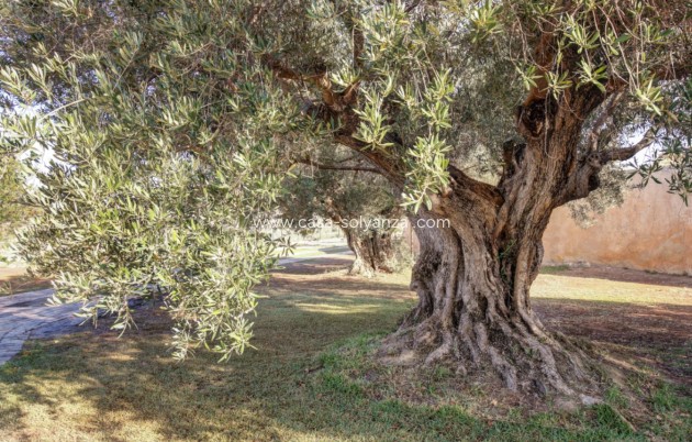 Herverkoop - Country Property/Finca - Moraira - Campo